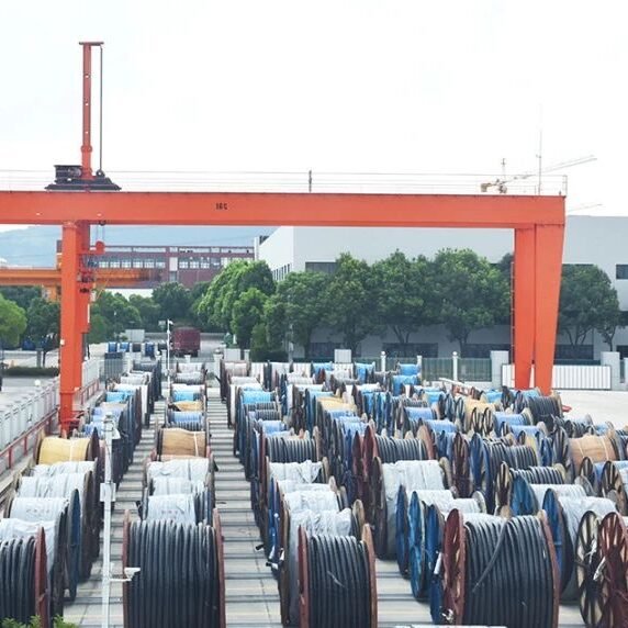 Double Girder Gantry Crane