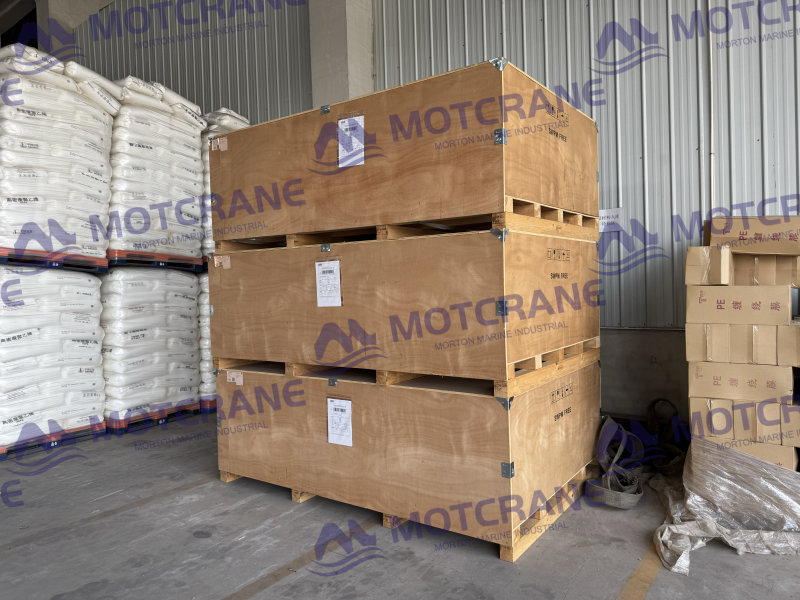 Export packing for 3-ton European wire rope electric hoists shipped to Algeria
