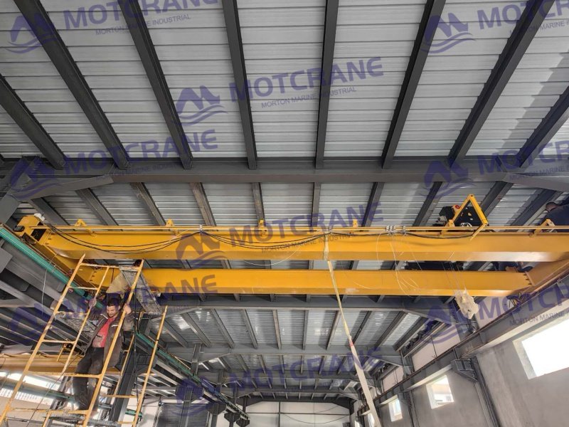 Double Girder Overhead Crane