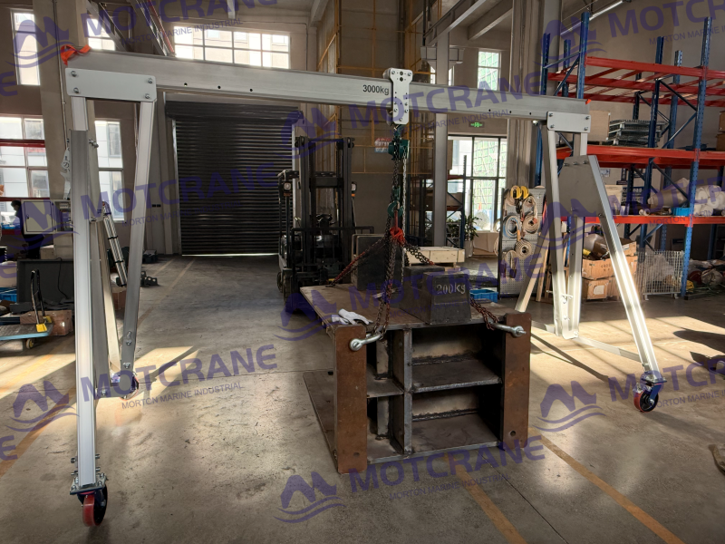 Adjustable height aluminum alloy gantry crane with manual pin locking